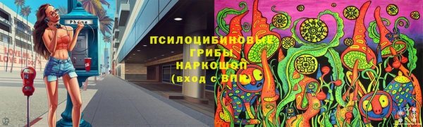сатива Алексин