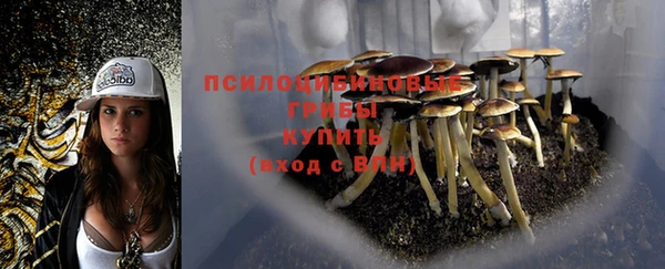 прущие крисы Алексеевка