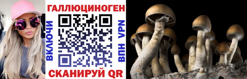Галлюциногенные грибы прущие грибы  купить   OMG ссылки  Новошахтинск 