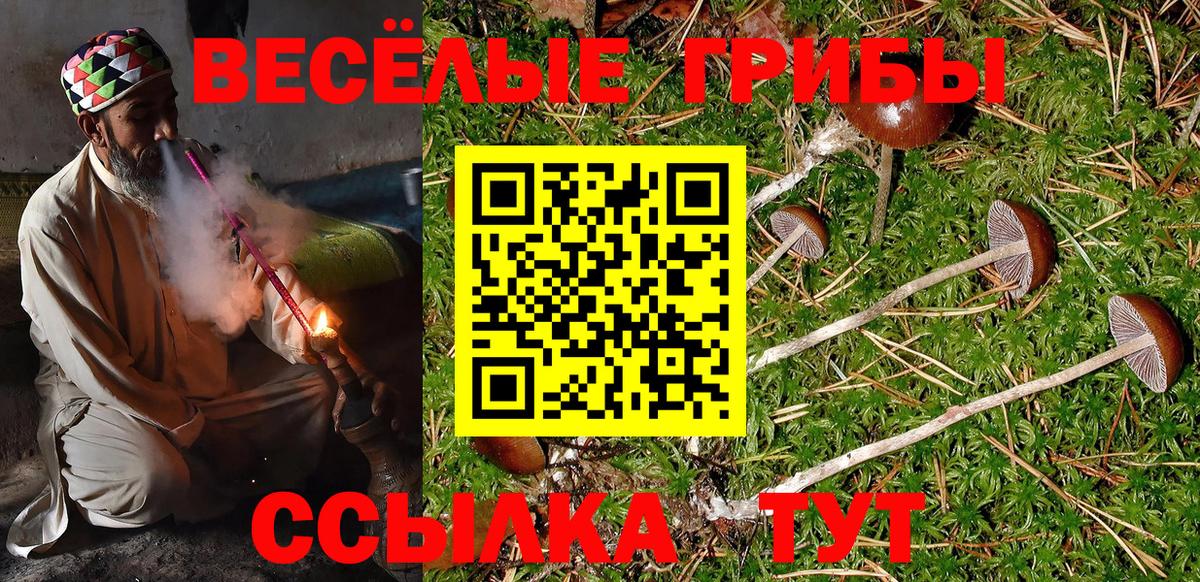 Галлюциногенные грибы MAGIC MUSHROOMS  Галлюциногенные грибы мухоморы  Вход с VPN  Новошахтинск 